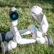 Mind Robotics Names Doug Field President After Tesla, Apple Roles